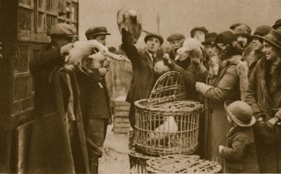 Buying live poultry at a Pedlars Market at the Caledonian Market by English Photographer